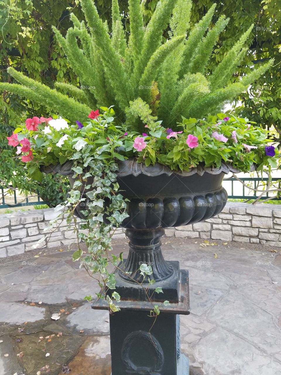 Fort Worth botanical gardens