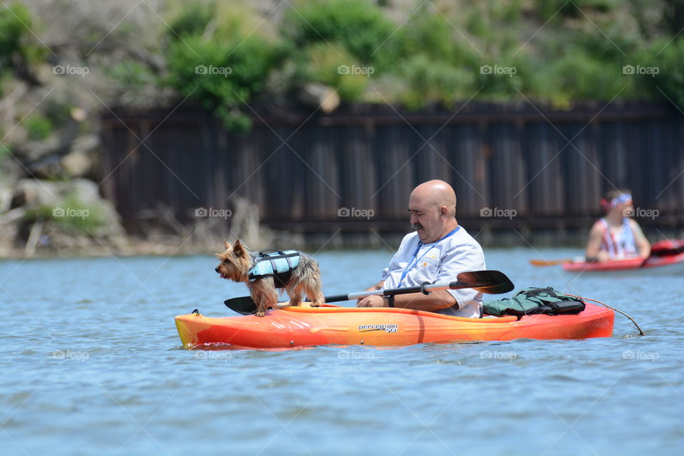 dog on kayak