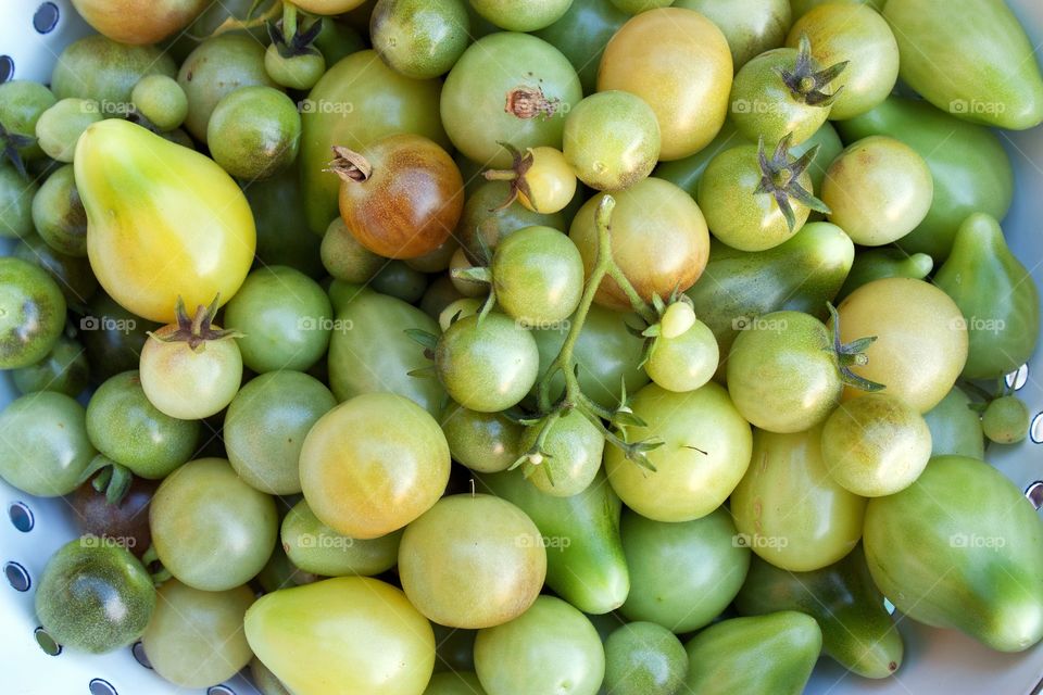 High angle view of tomatoes