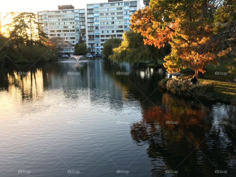 Autumn in the city