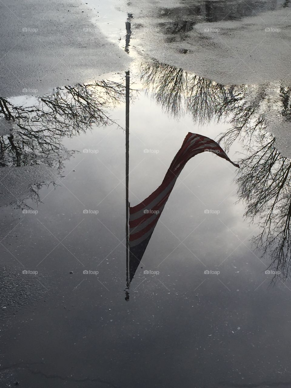 American Flag Reflection. American flag is caught on a tree near the Shamrock Restaurant in Thurmont, MD.