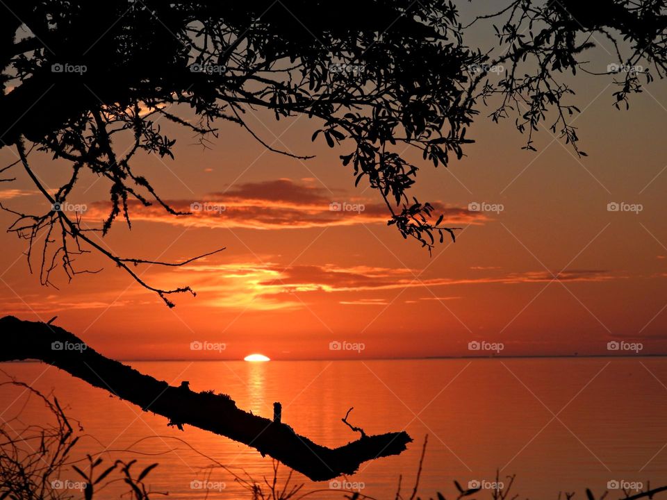 Tree branches in silhouette as I watched a fiery orange orb of light slowly sank beneath the horizon, and threads of light lingered in the sky, mingling with the clouds. 