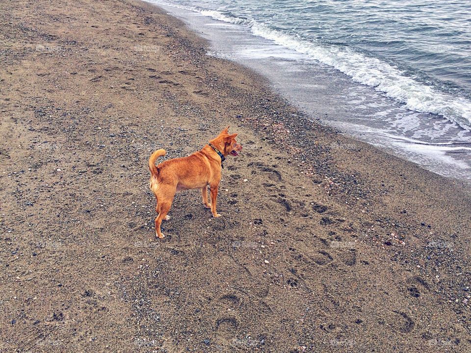 Jennings Beach, Fairfield CT...