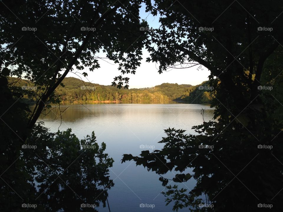 Radnor lake.