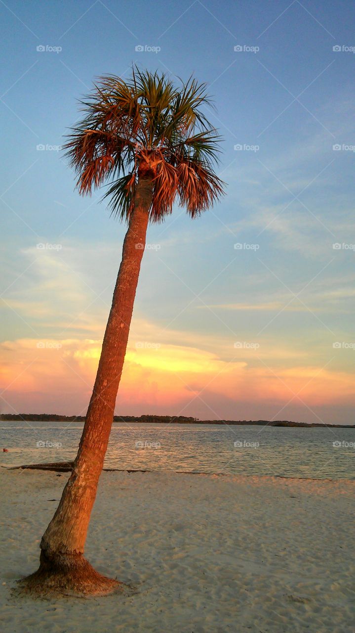 Beach, No Person, Sand, Seashore, Tropical