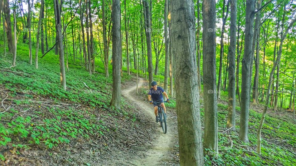 singletrack Mountain bike trail