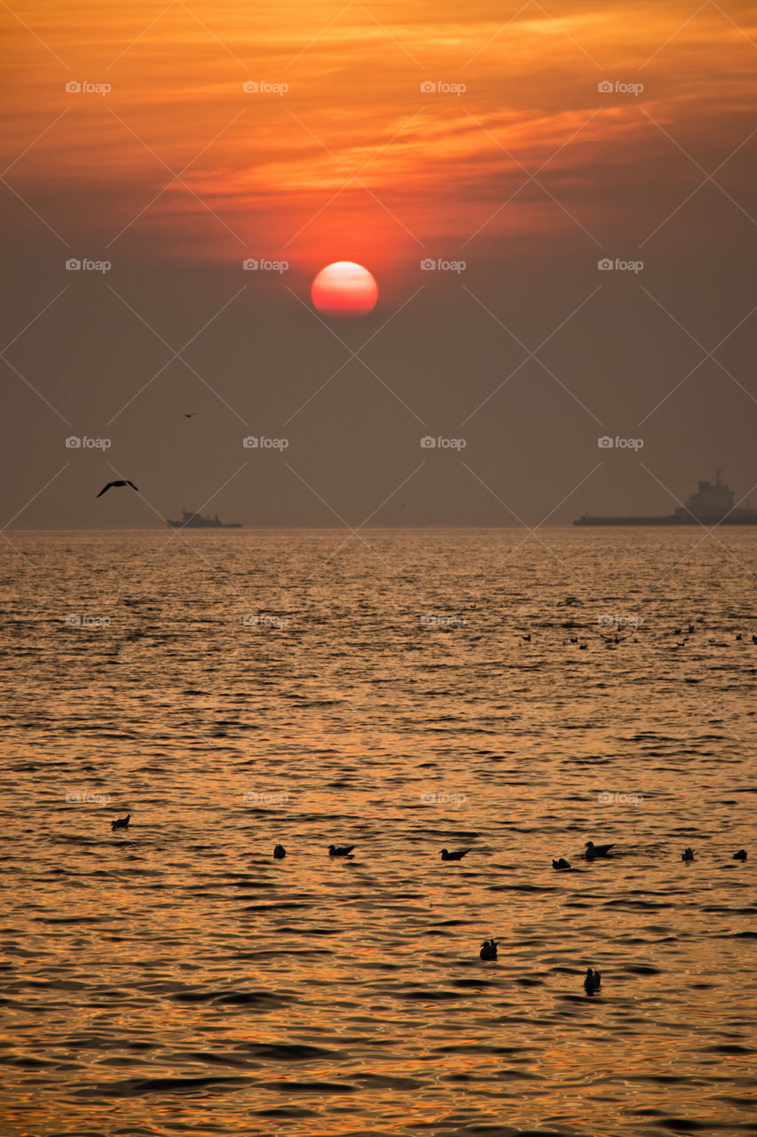 Sunset at the seashore with gulls.