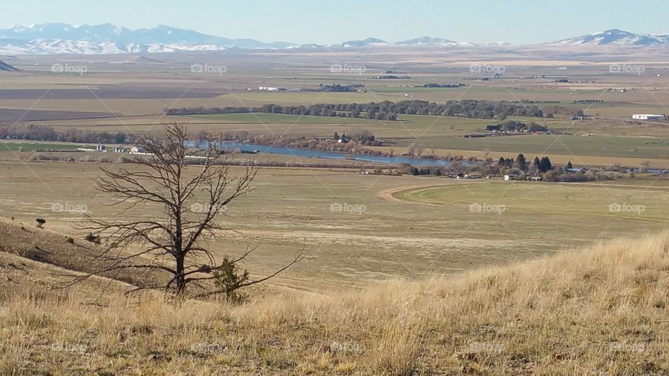 a river runs through valley. a tree overlooking a river in the valley of fields and farms