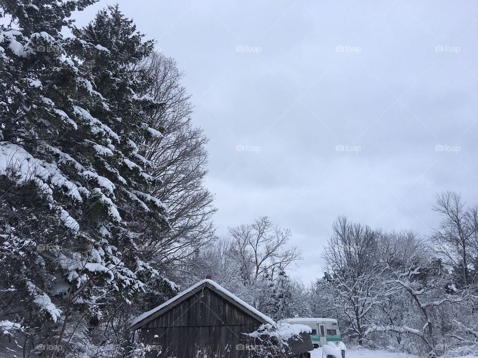 Fresh fallen snow on a landscape. Old shack, pine trees and vintage camper in background.
