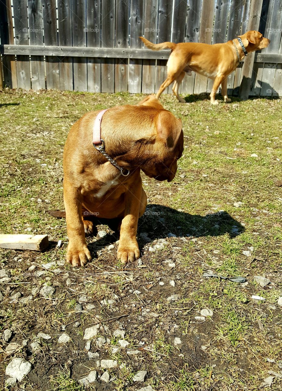 Muffins enjoyed some sunshine!