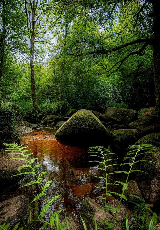 The enchanting forest of Huelgoat with its rocks, its Silver river, its ferns and trees at fall