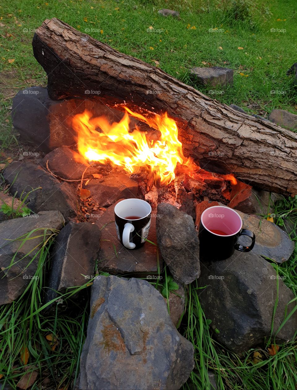 Two mugs by a burning campfire.