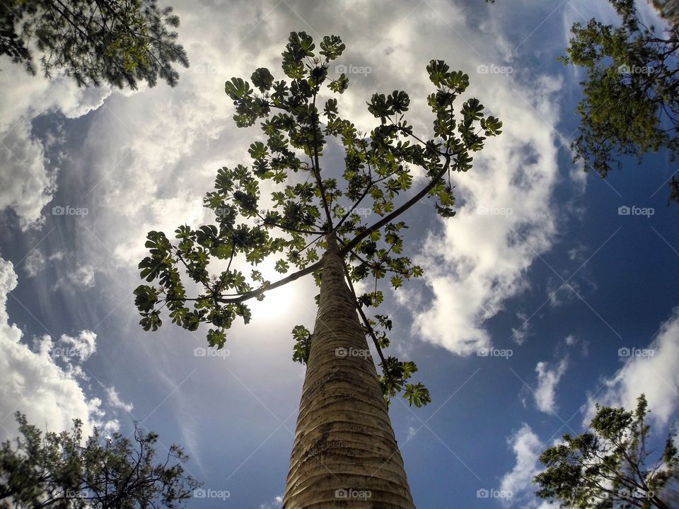 Taken with a GoPro while hiking in Belize