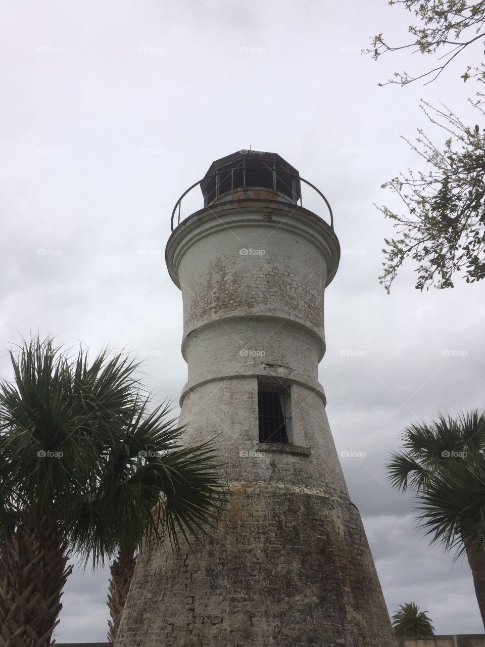 Old light house with palms in foreground 