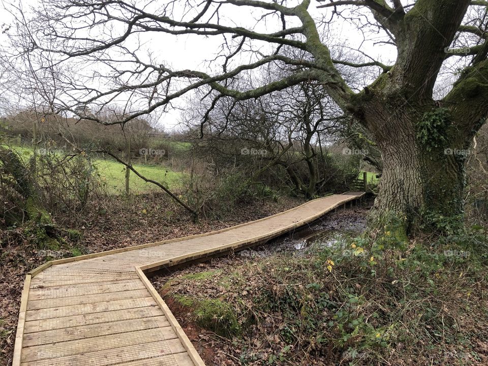  A nature trail of a local Devon, UK farm in the UK on a cold and crisp New Years Eve 2018.