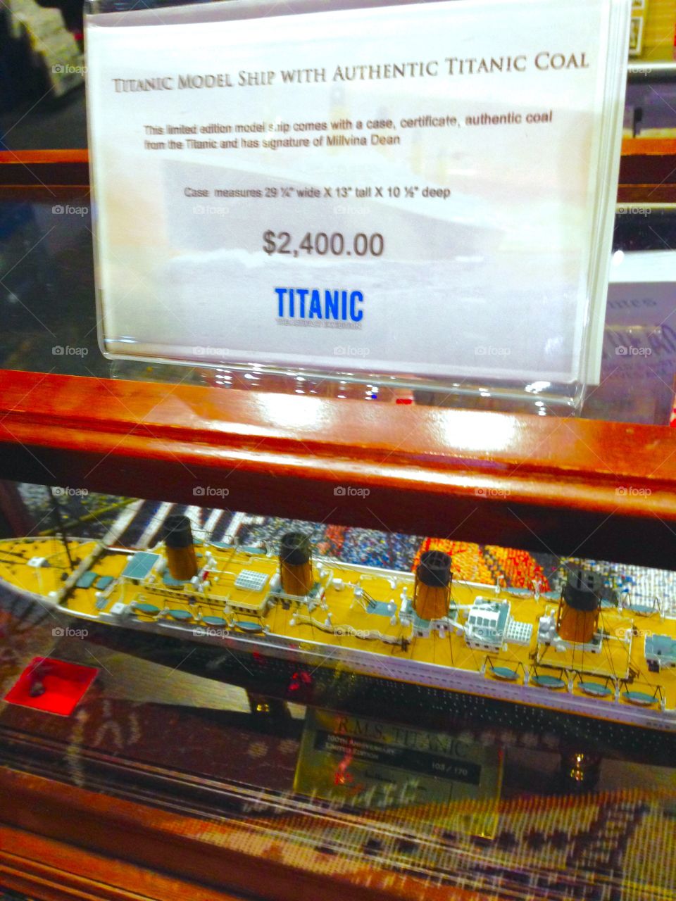 Titanic Memorabilia 

Published by:
HappyBrownMonkey 