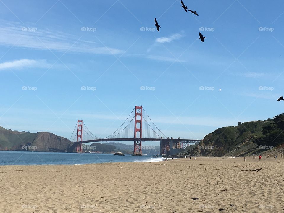 Golden gate from distance on beach and birds 
