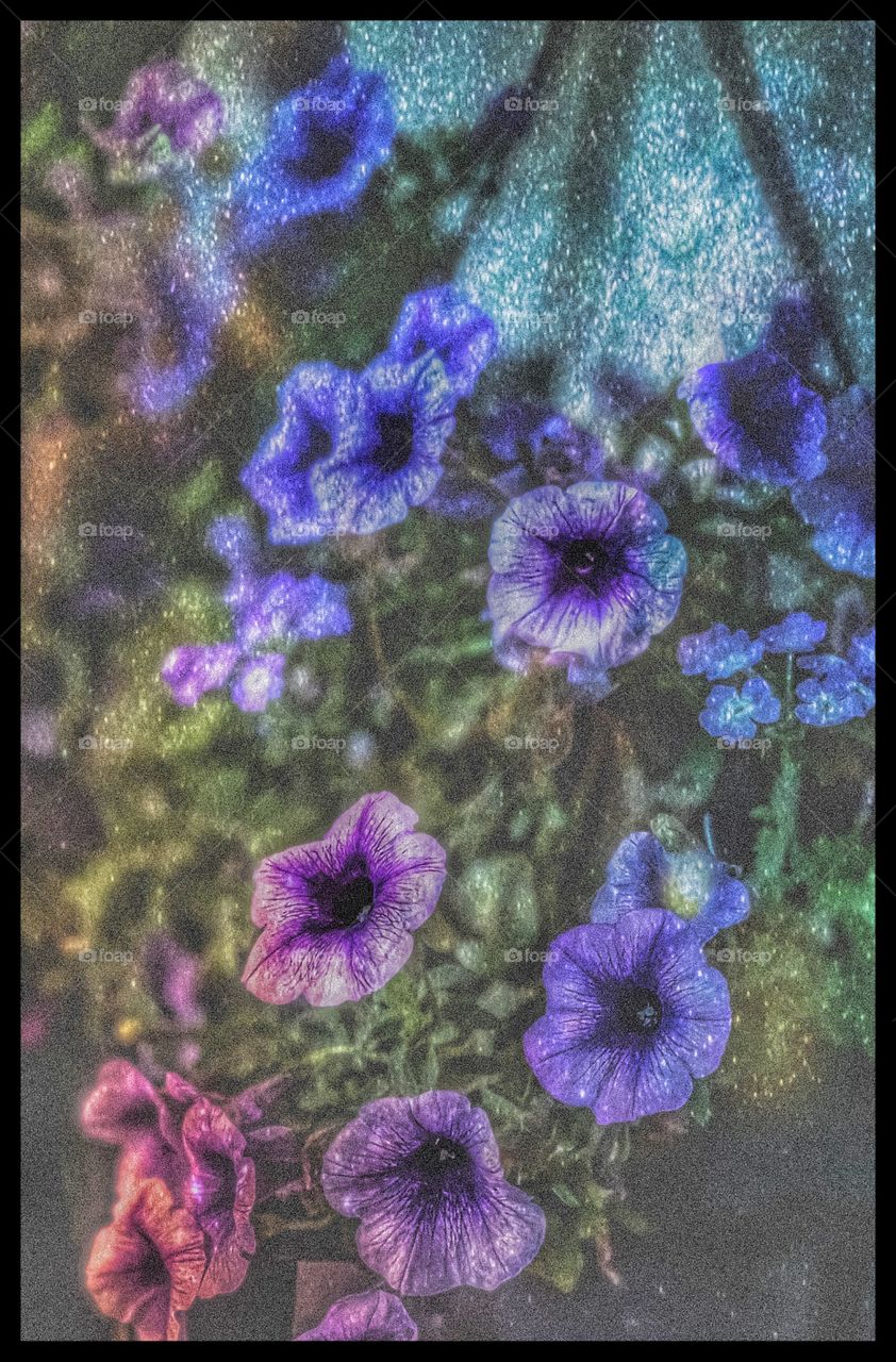 Flowers and stars for a card