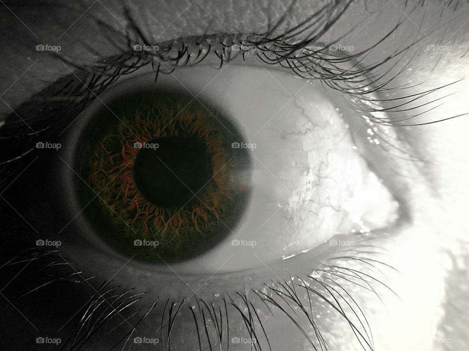 close-up of human eye with details of light brown iris in the obscurity