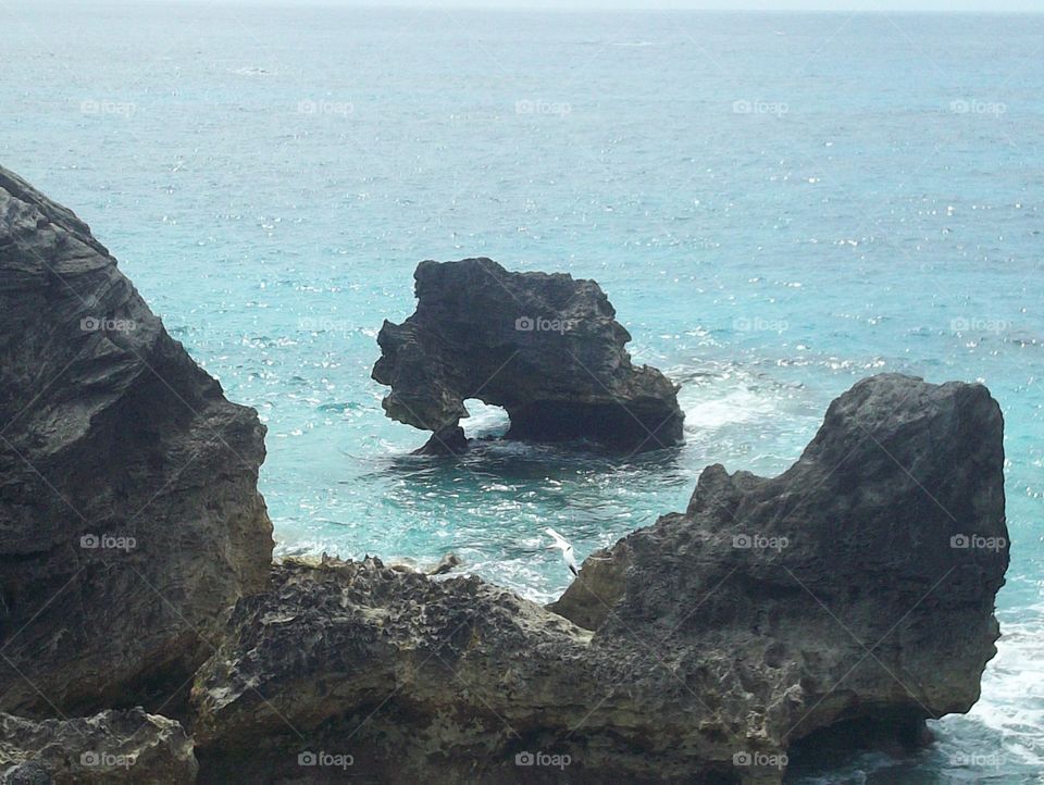 Bermuda Shoreline