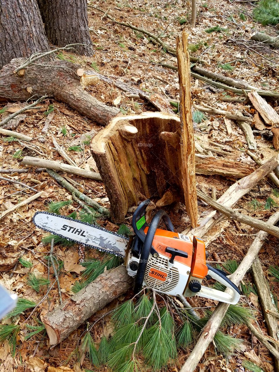 Stihl chainsaw displayed in woods after cutting wood, showing the Stihl name proudly on this older model.