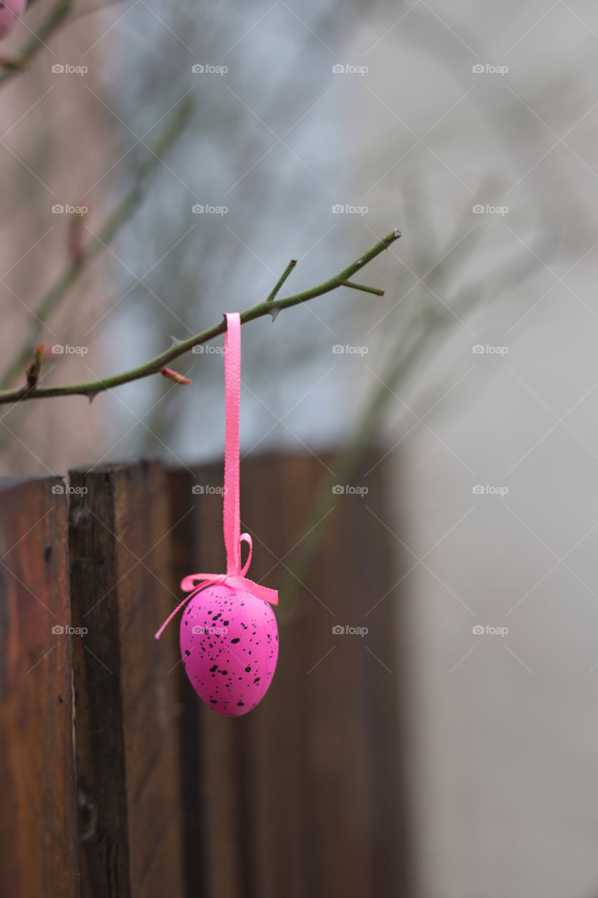 Pink Easter egg with pink ribbon is hanging on the tree branch