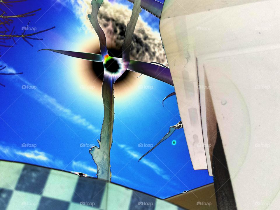 Sunshine and Plants Negative