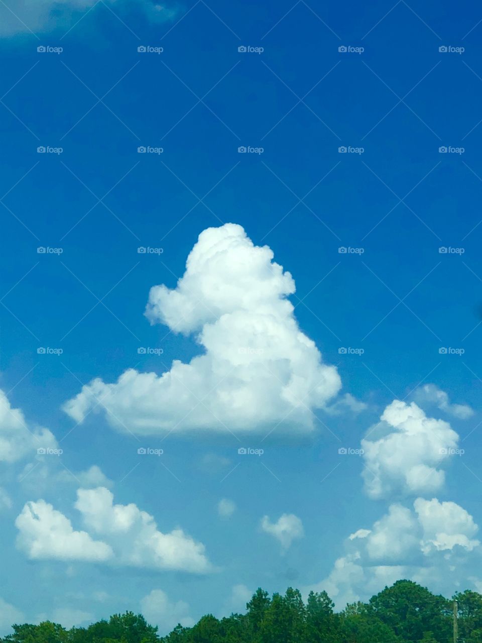 Baby elephant cloud