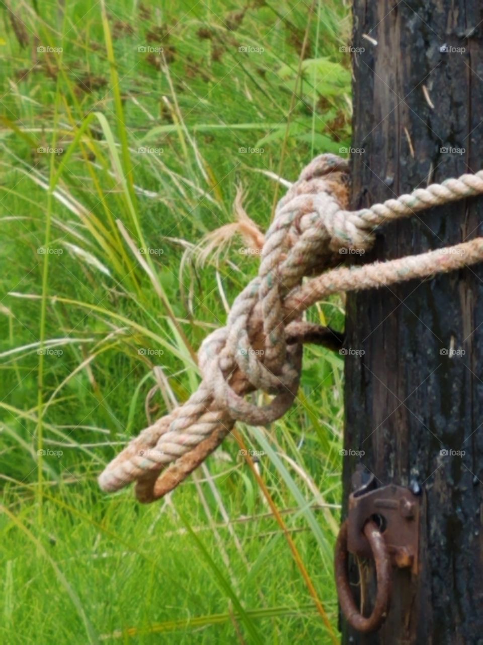 knotted rope