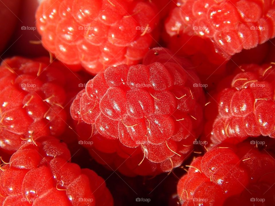 Berries