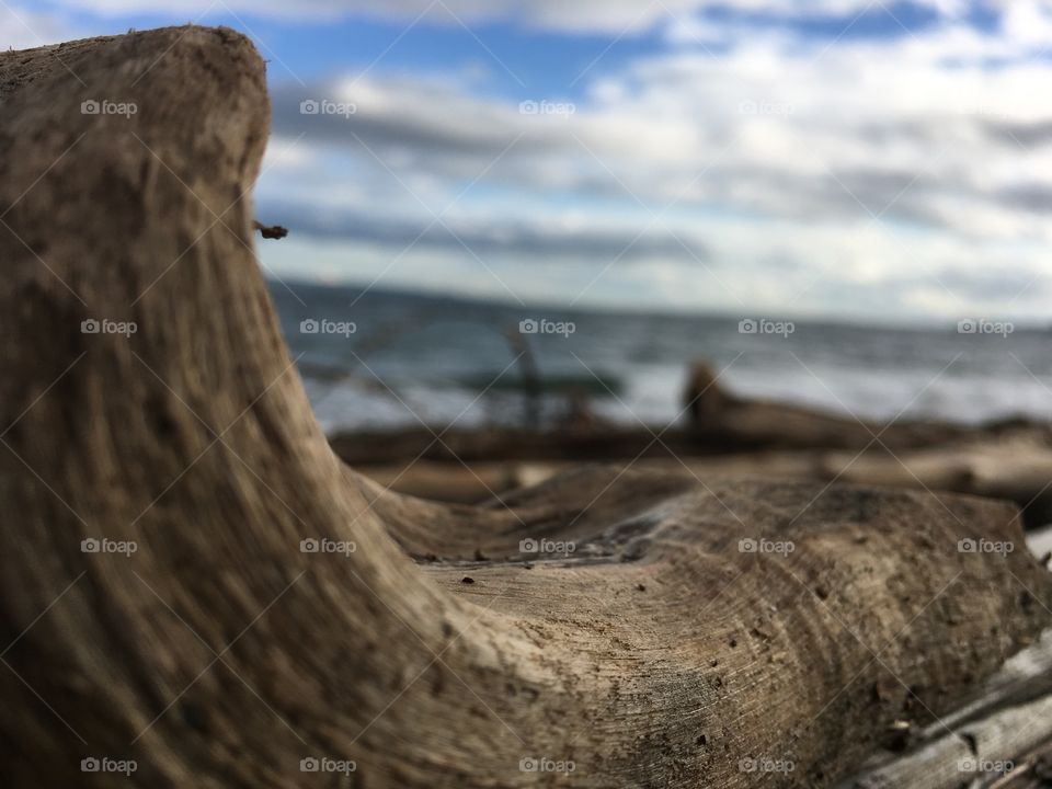 Beach, Water, Sea, Nature, Seashore