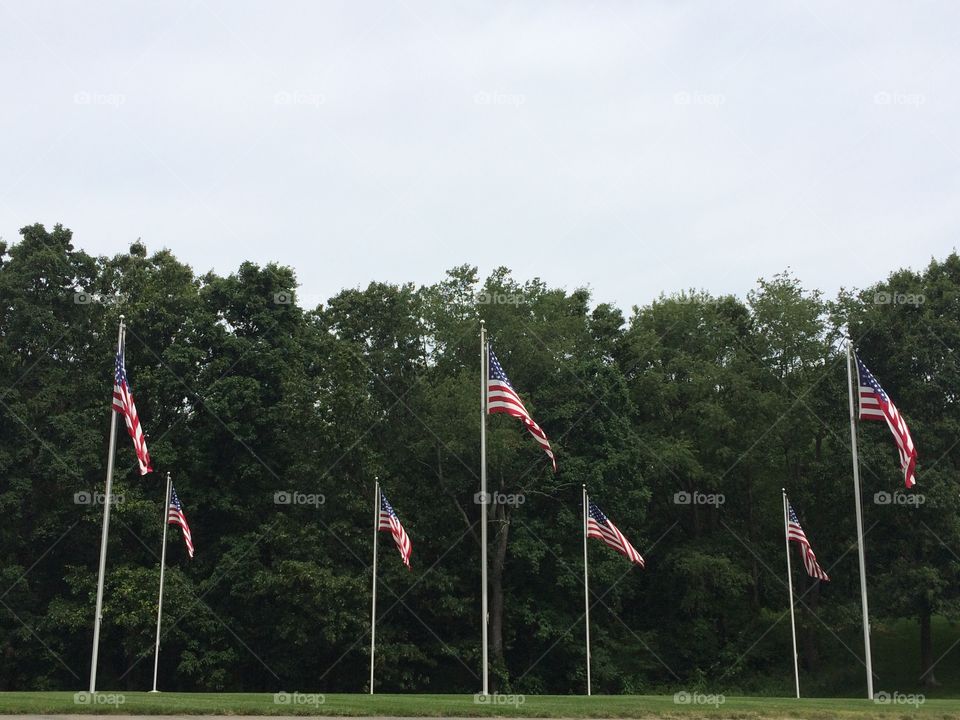 Waving flags