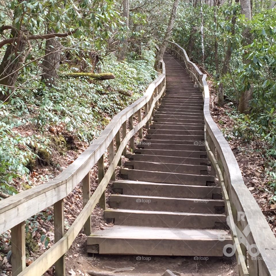 Long stair path leading to a waterfall near Great Smoky Mountains in Tennessee .