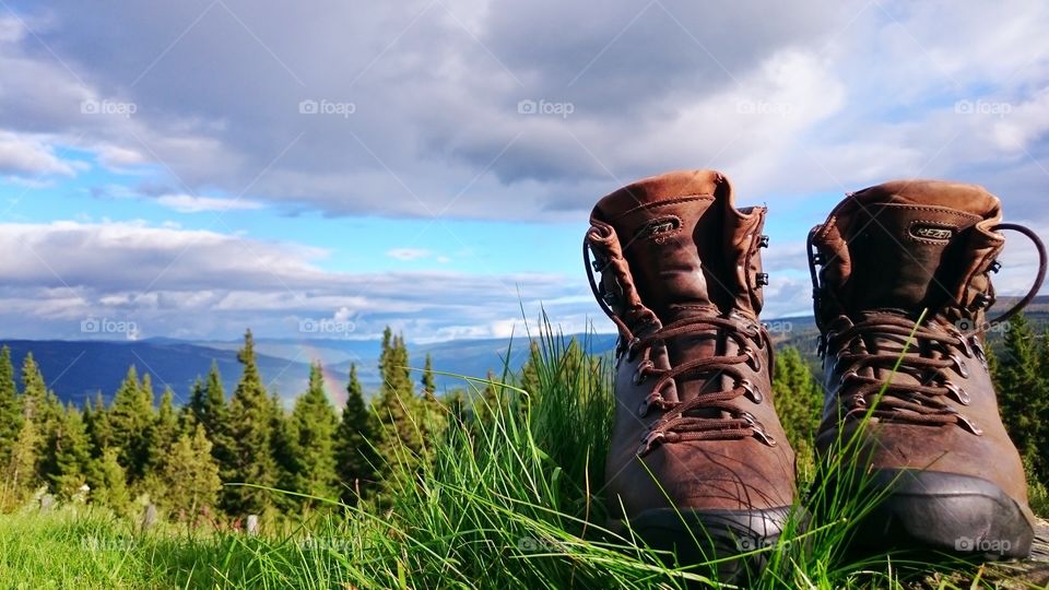 Hiking Boots