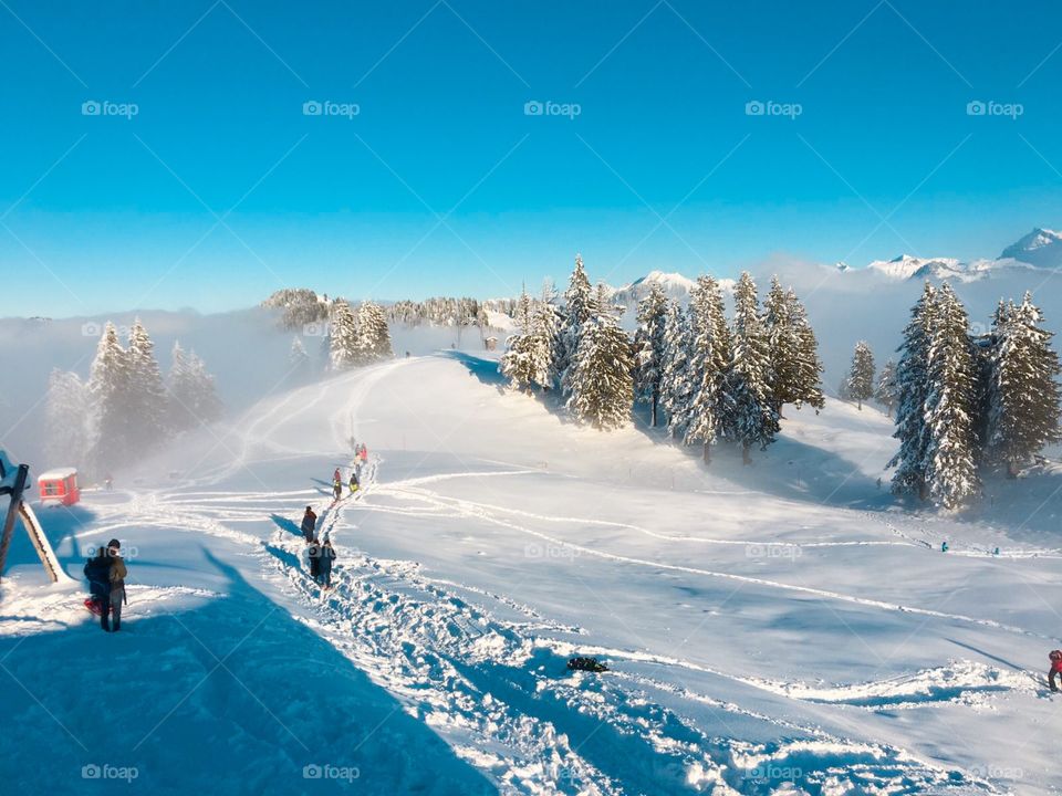 Winter in the mountains . some people are walking in the snow . snow covered the trees