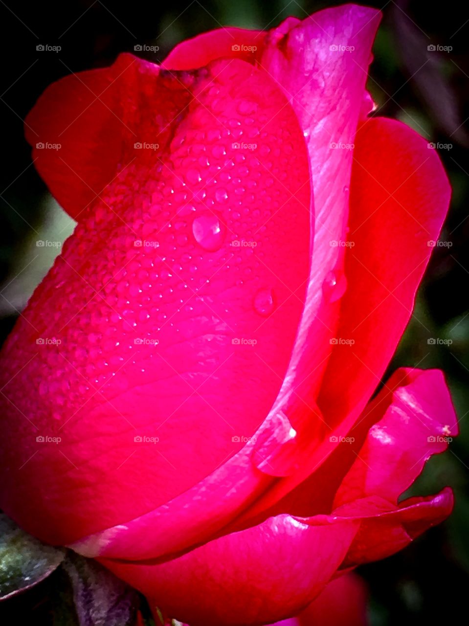 Brightness in a Dark World