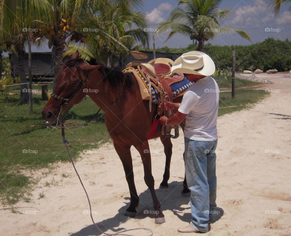 horse riding