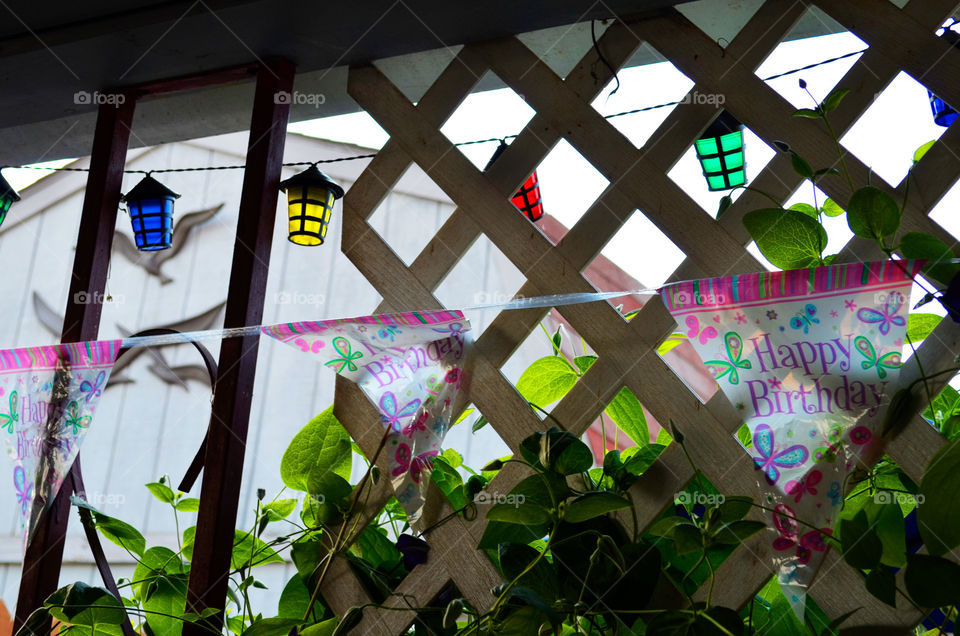 Summer Celebration ( Series )