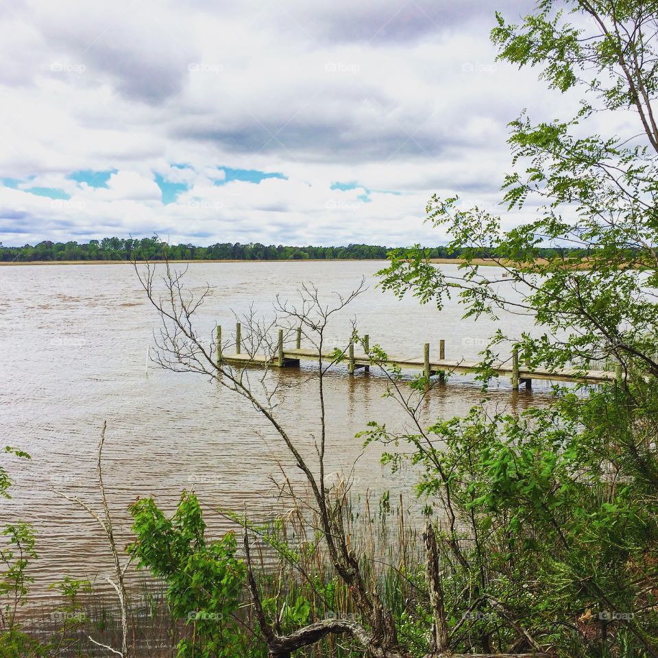 Water, Nature, Landscape, No Person, Tree