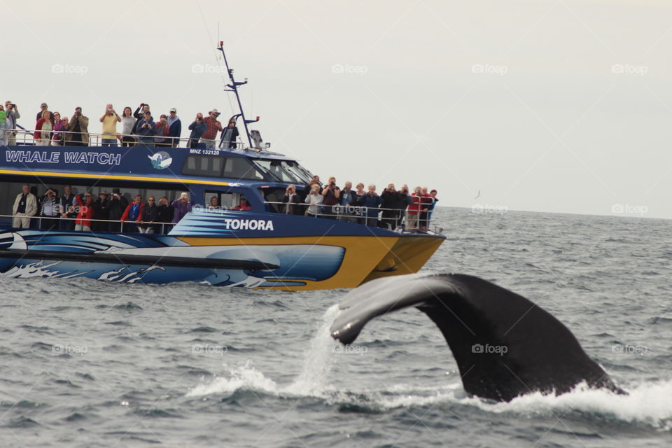 Nature doesn't get any bigger