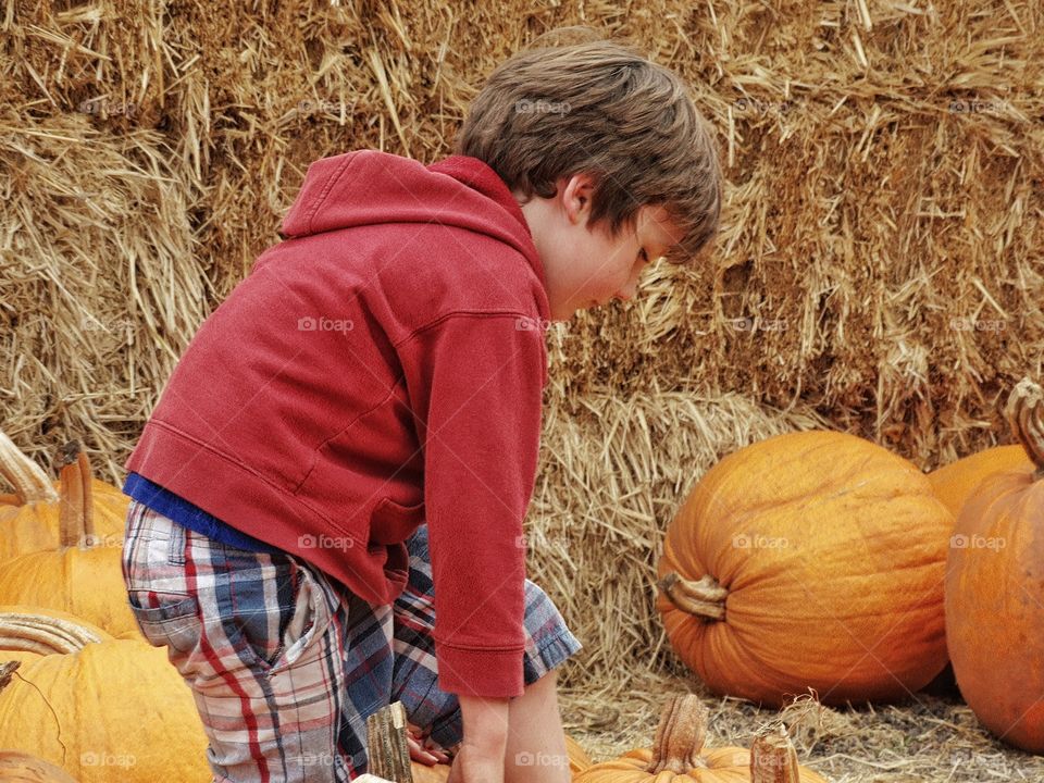 Boy Picking A Halloween Pumpkin
