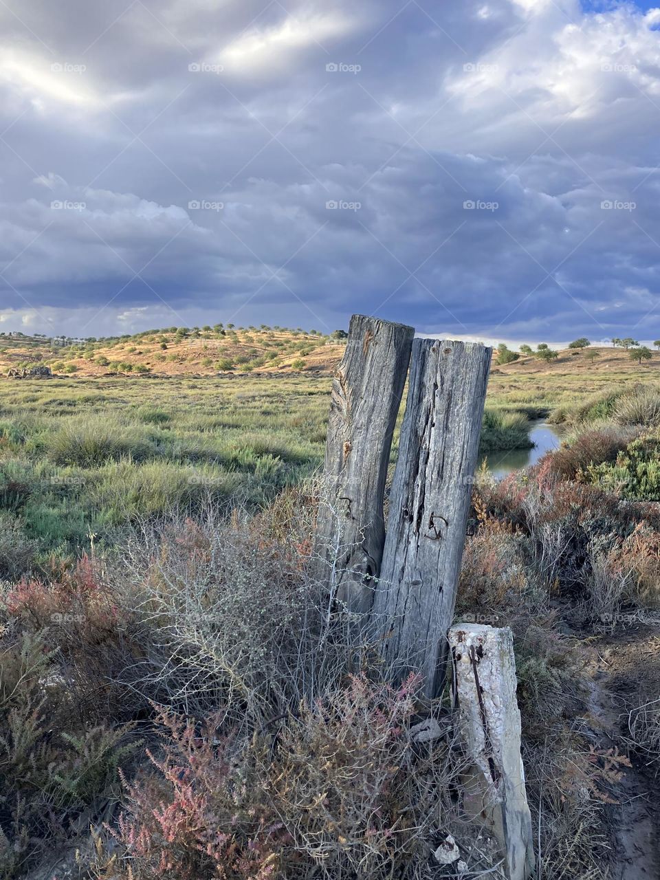 Wide view on countryside 