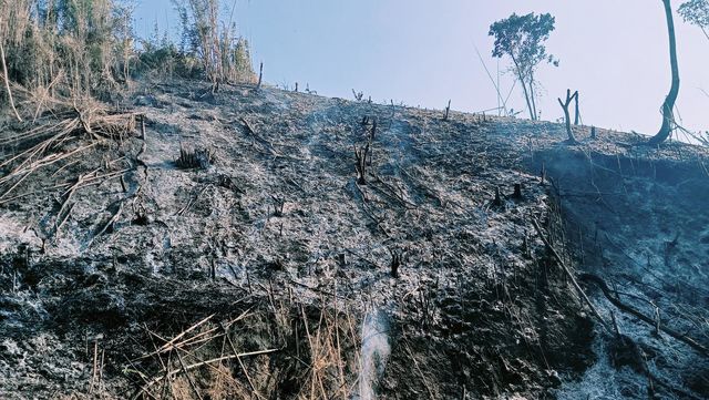 Climate change drives wildfire