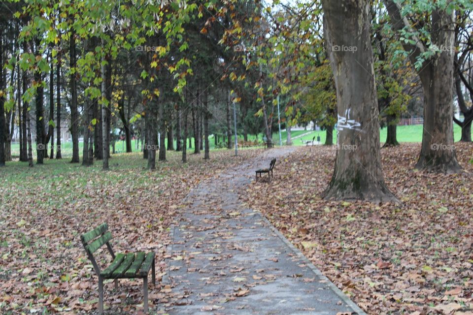 walkers through the park on Osijek