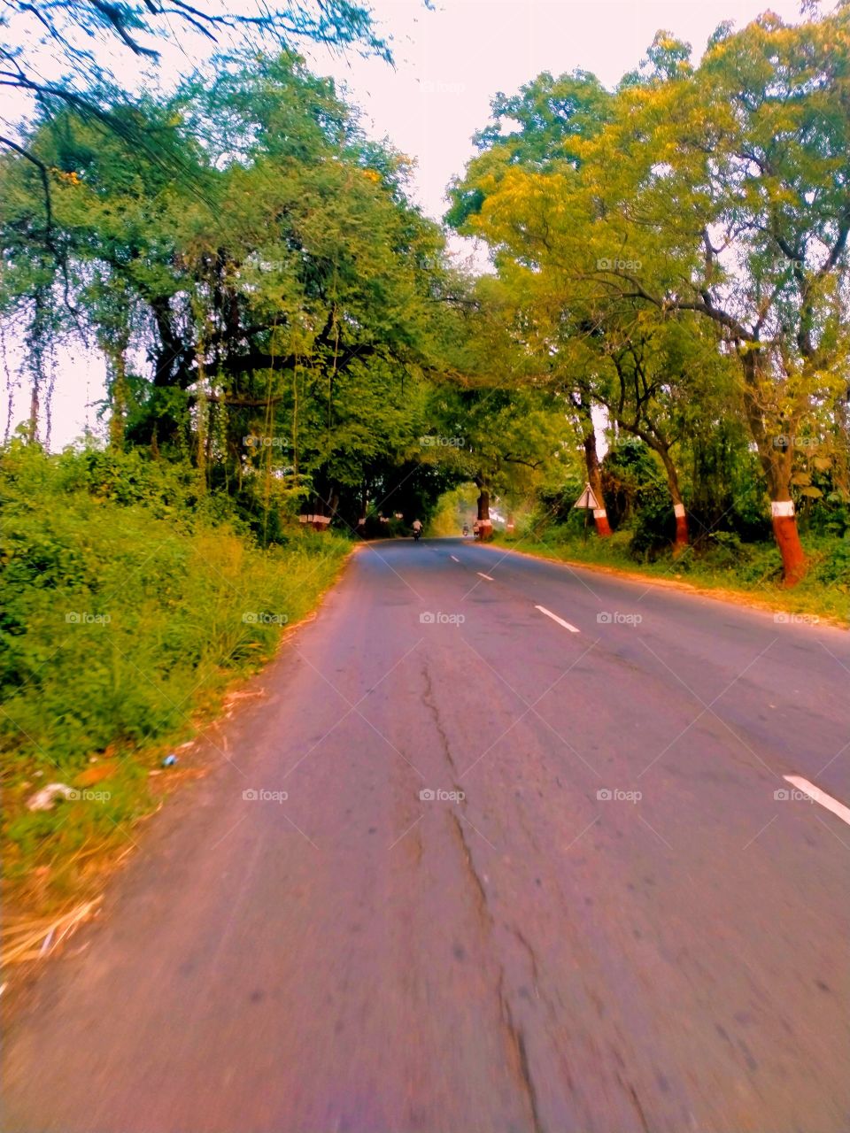 road