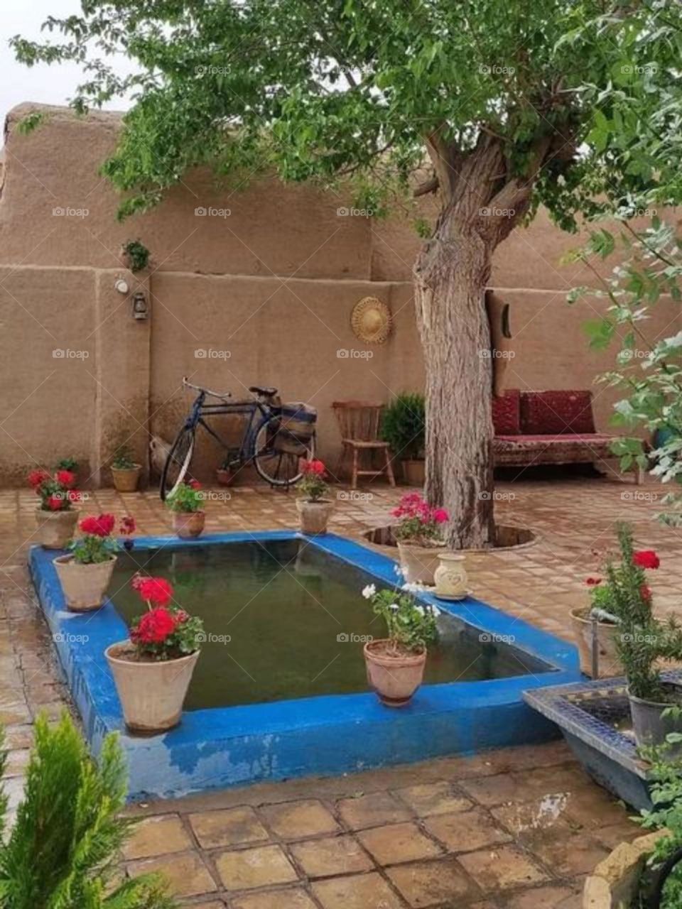 The beauty, calmness and the simplicity of this old house and the geraniums