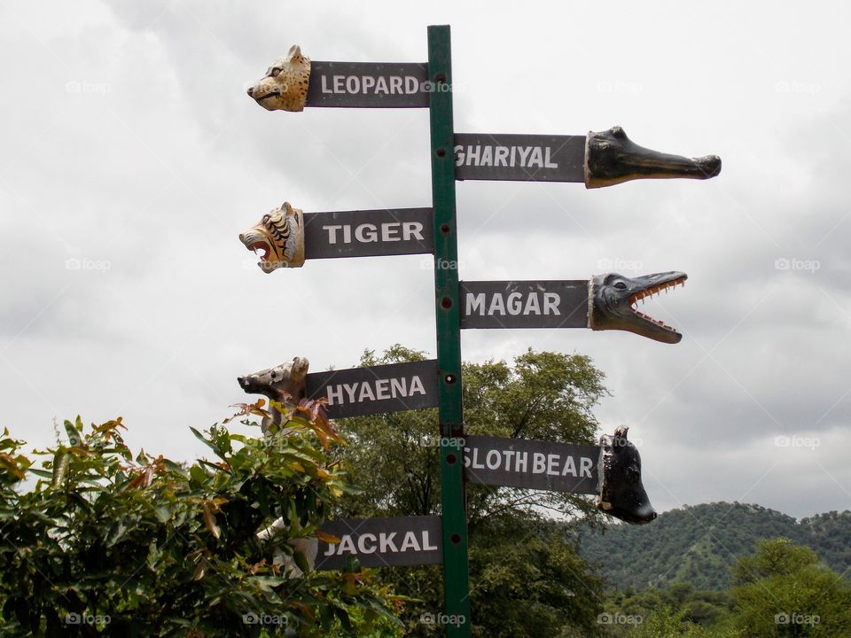 biological park direction instructions