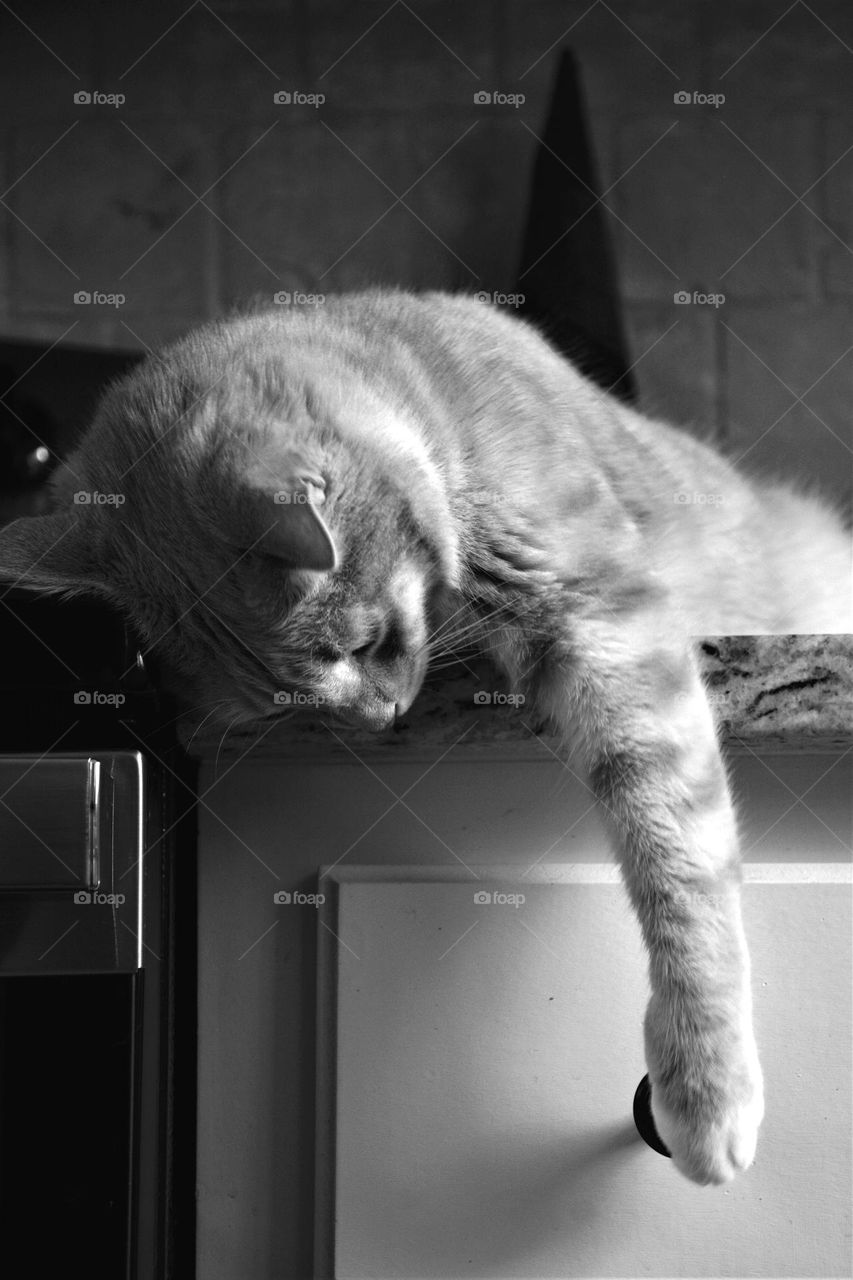 Eliot in the Morning