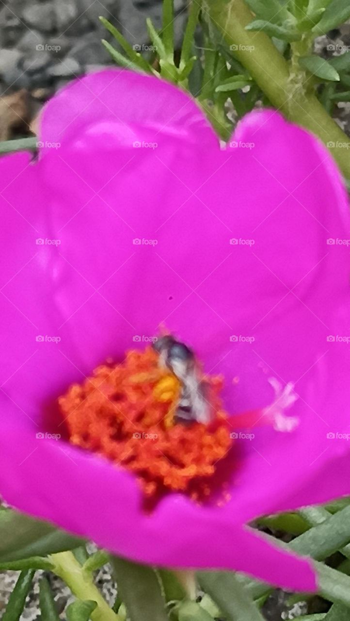 💜❤💜❤💜❤