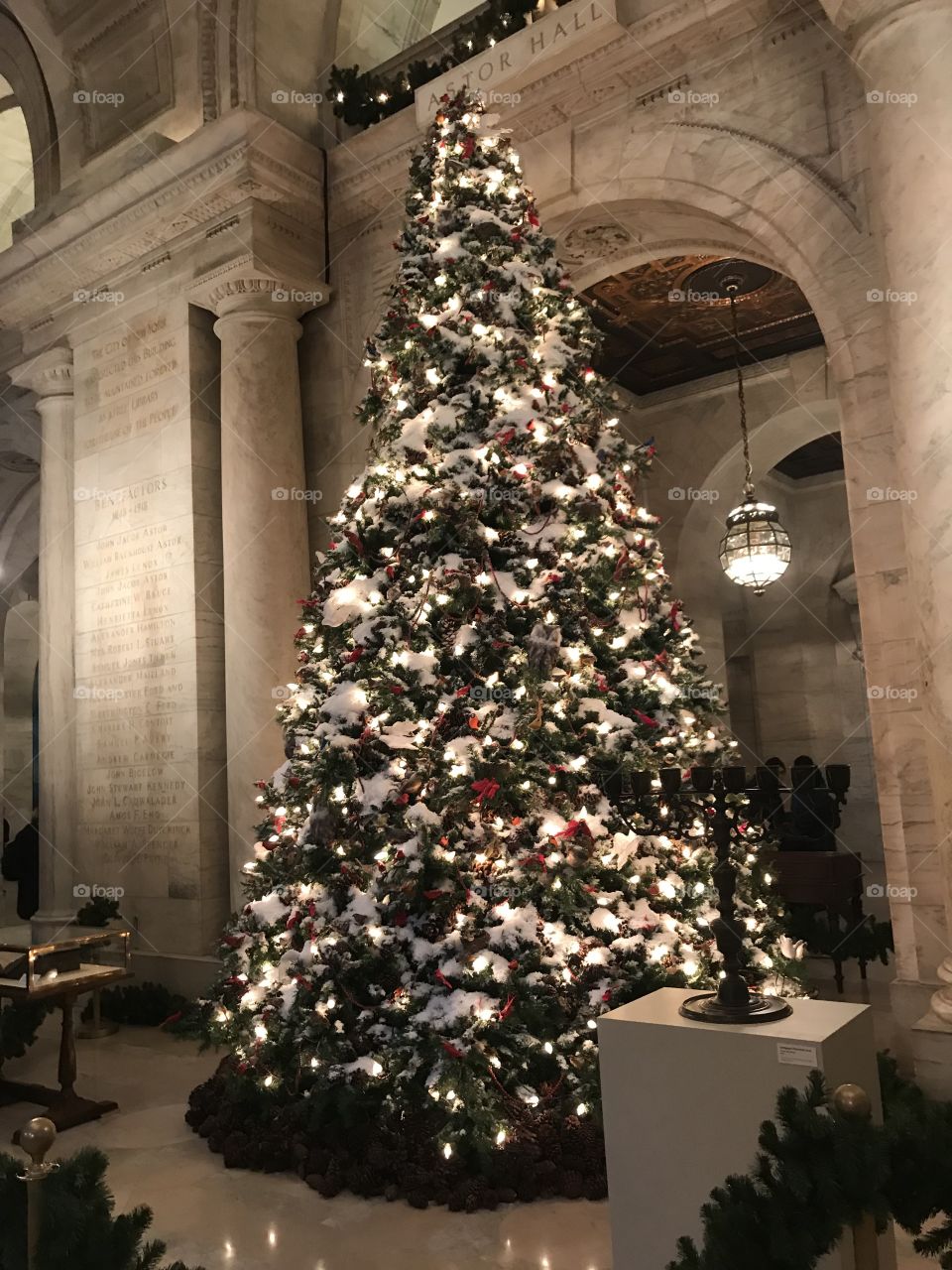 Holiday tree in the main branch of the New York Public Library.